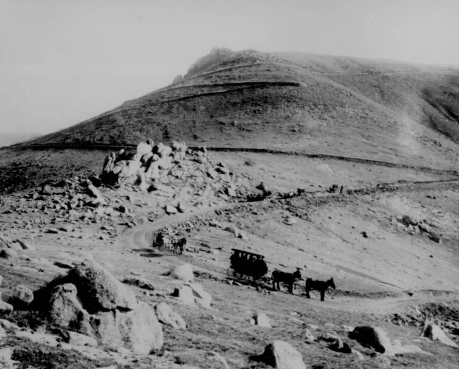 american-frontier-horses