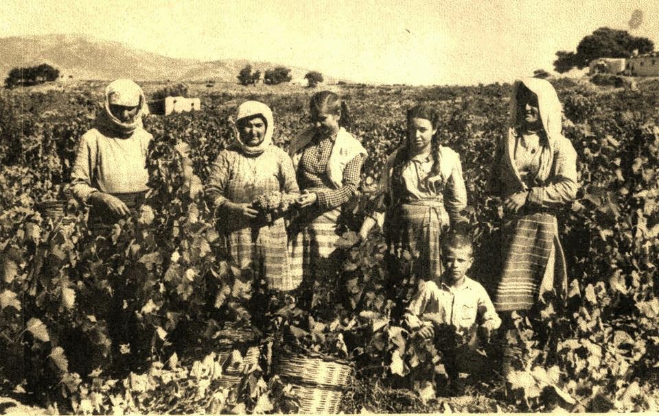 Ο ΤΡΥΓΟΣ ΣΤΗ ΖΑΚΥΝΘΟ