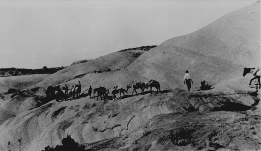 discovery-party-on-horseback