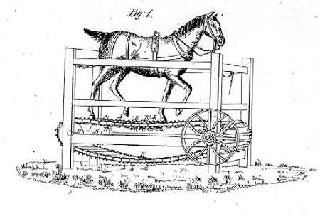 horse-treadmill-resized