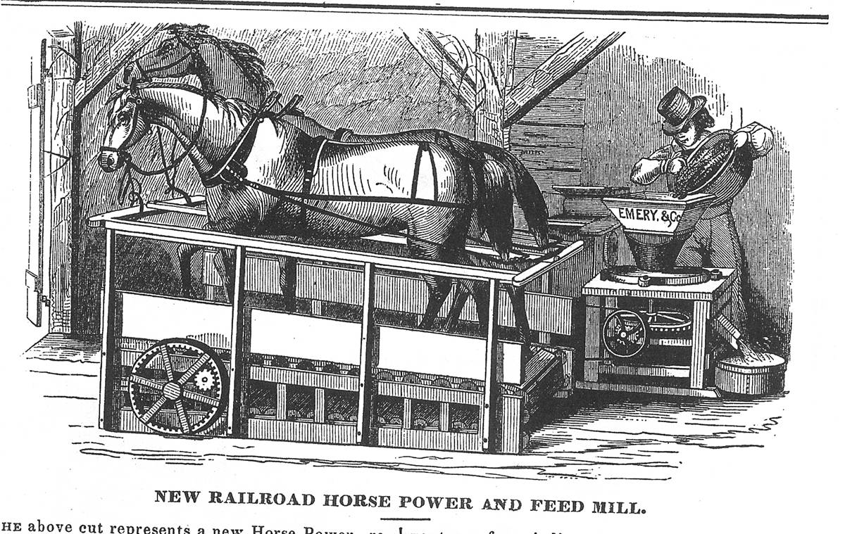 Horse_Treadmill