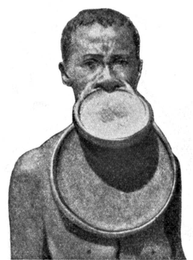 lip-plates-9