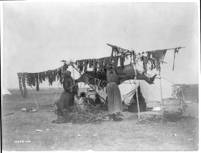 North American Indian Photographs, c (12)