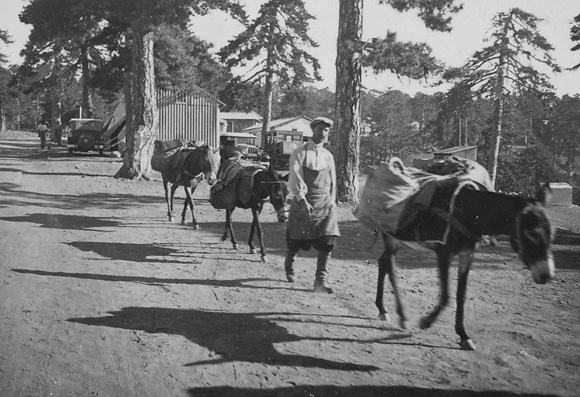 Troodos-Square-100