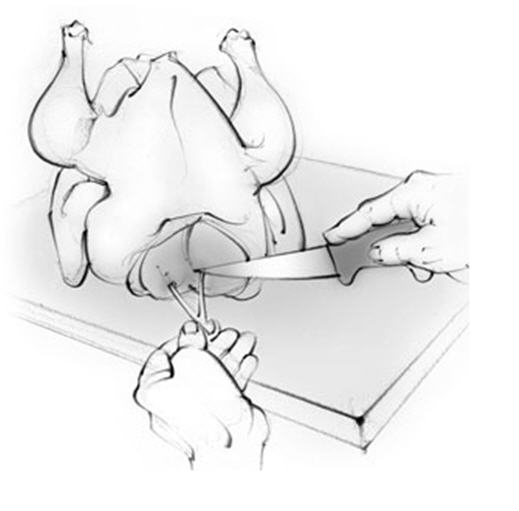 Wishbone removing