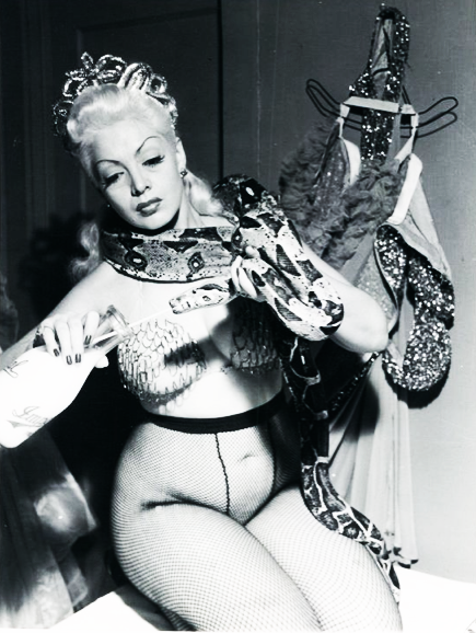 Zorita-2