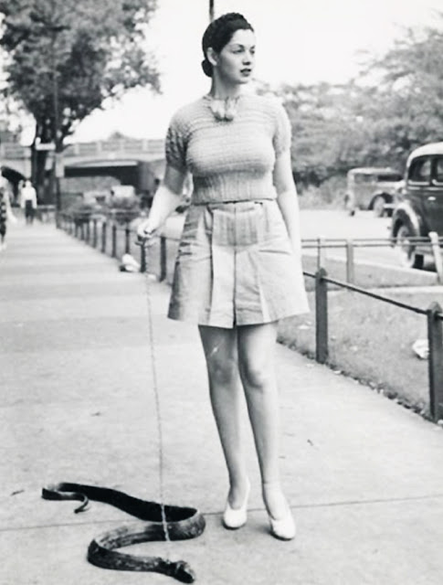 zorita-walking-her-snake-1