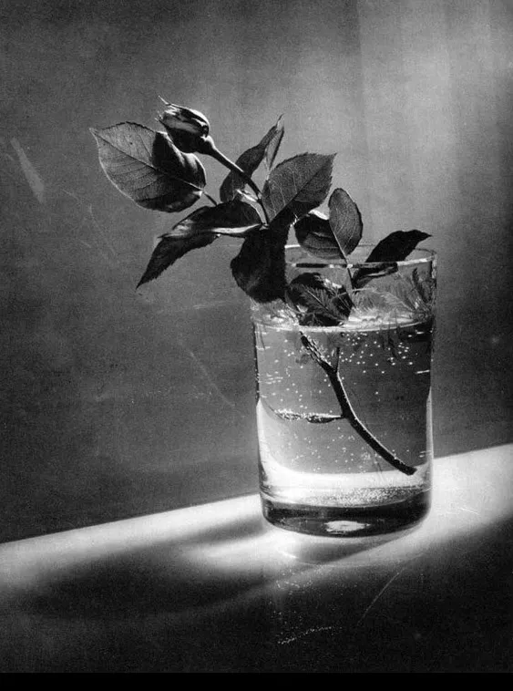 Josef Sudek